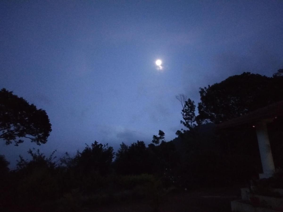 Abiyal Mountain Stay ماديكيري المظهر الخارجي الصورة